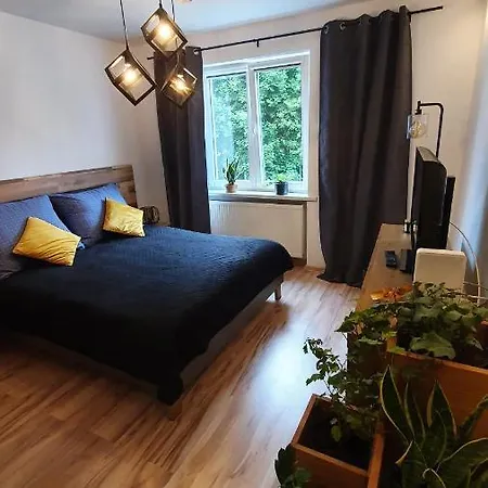아파트 A&s Loft *